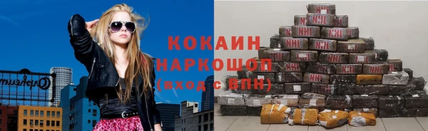 гидра Арсеньев