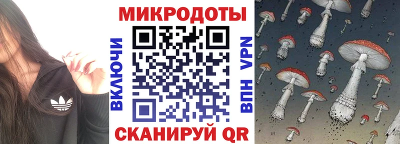 Галлюциногенные грибы мухоморы  купить закладку  маркетплейс состав  Новоалександровск  omg как войти 